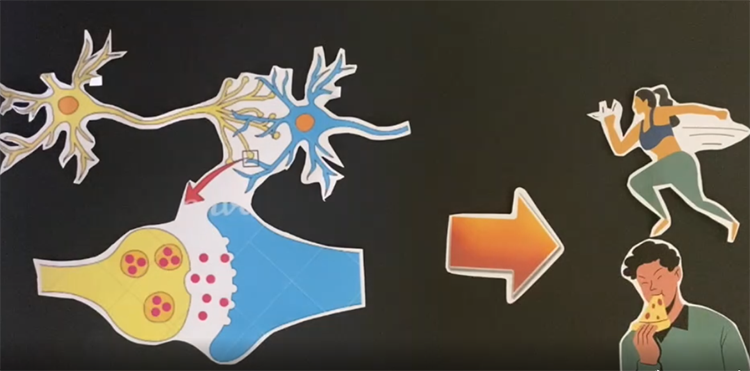 Evie-Case-Myth-Busted-The-Brain-Switches-off-when-you-Sleep_resized | Genazzano