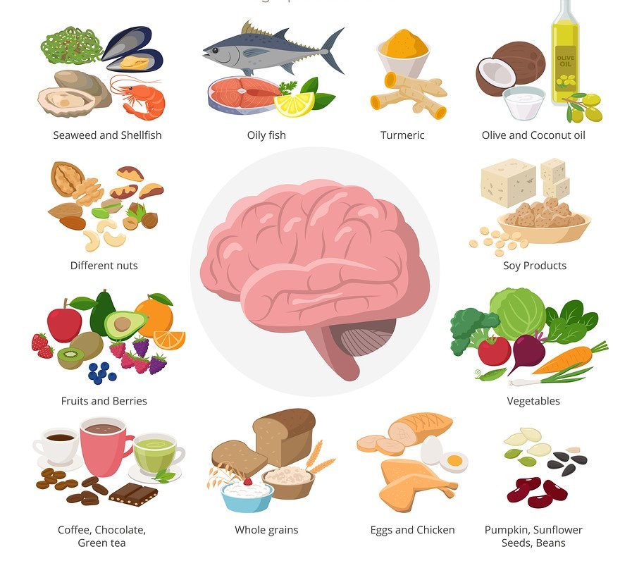 Healthy Food For Brains Infographic Elements In Detailed Flat De | Genazzano